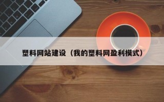 安徽塑料网站建设（我的塑料网盈利模式）