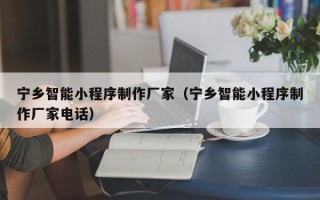 安徽宁乡智能小程序制作厂家（宁乡智能小程序制作厂家电话）